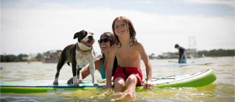 Paddleboard Life Advice
