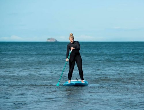 What is a Paddleboard?